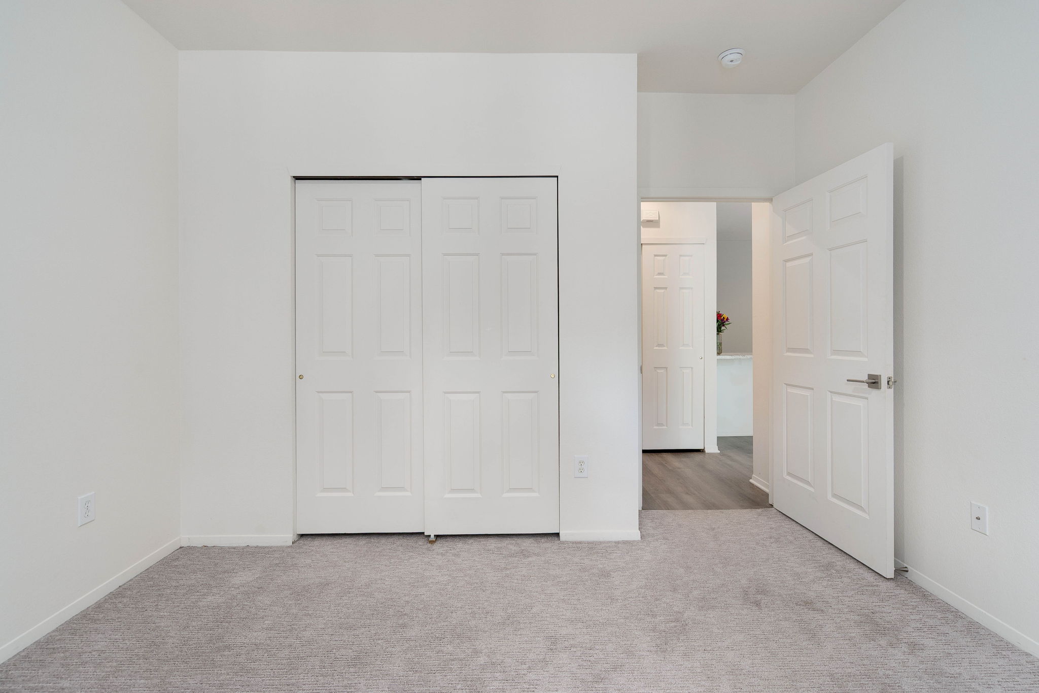 A white door is in the middle of a room with carpeting.